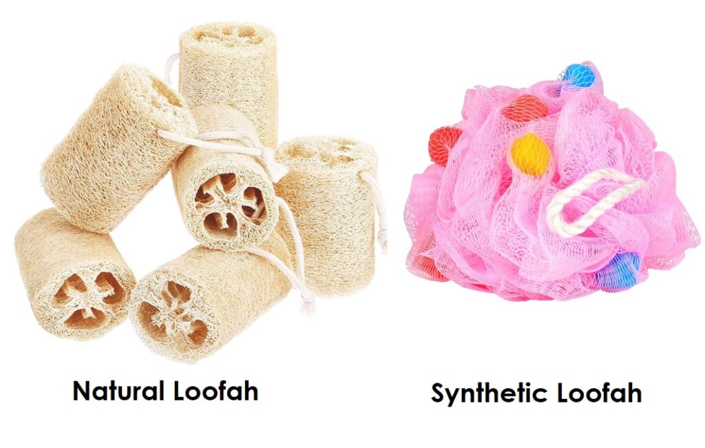 Types of Loofah